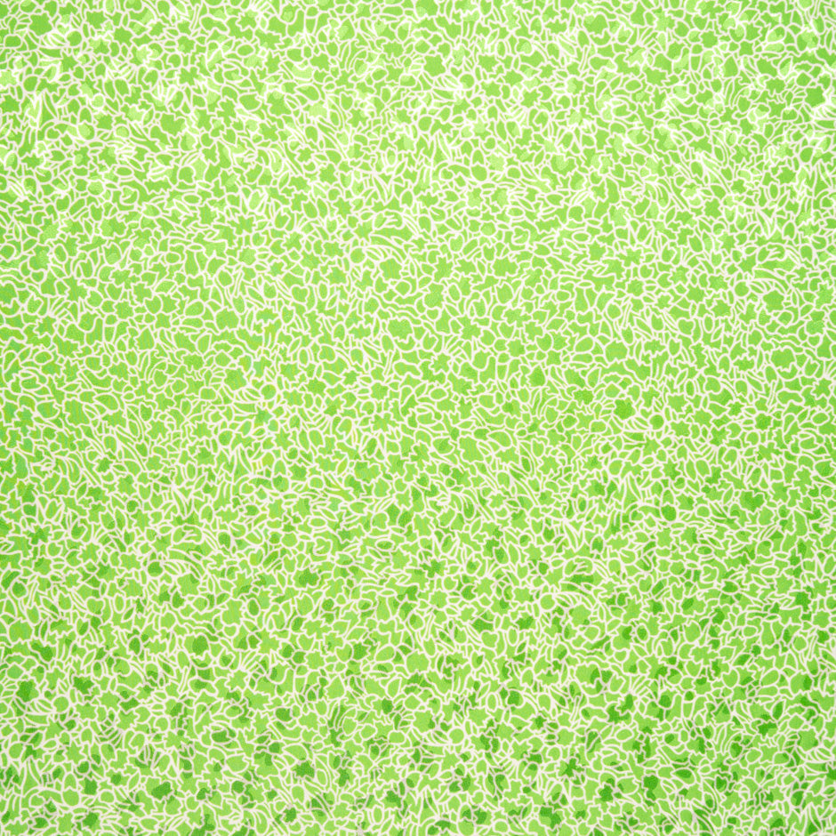White Abstract Printed Apple Green Silk Jacquard
