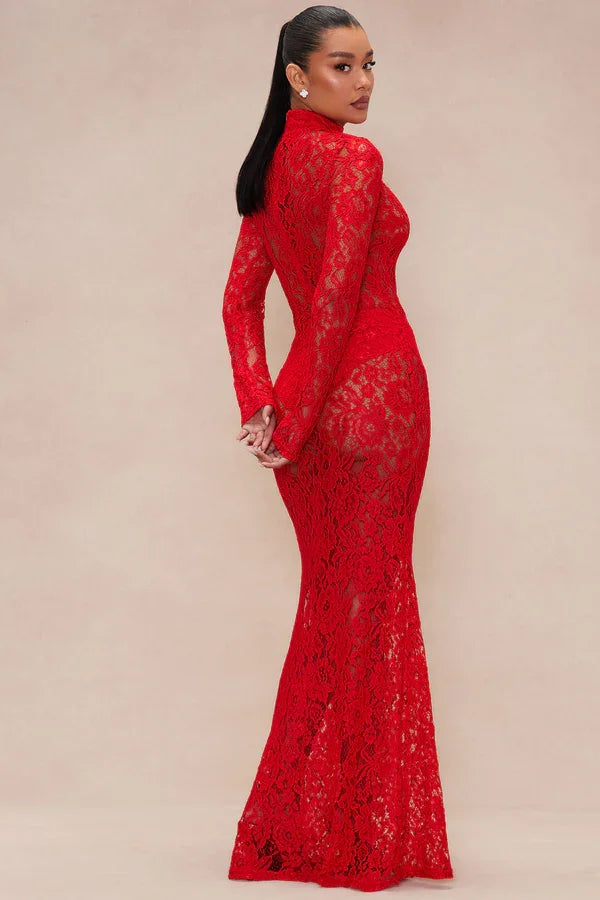 Sexy Long Sleeve round Neck Lace See-through Dress