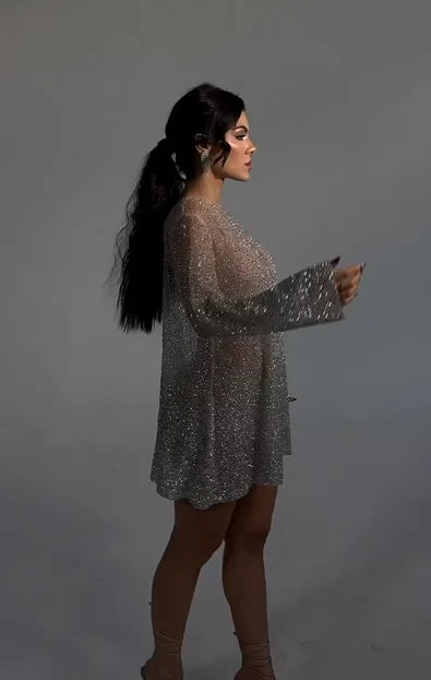 Sexy Long Sleeve Loose Shiny See-through Dress